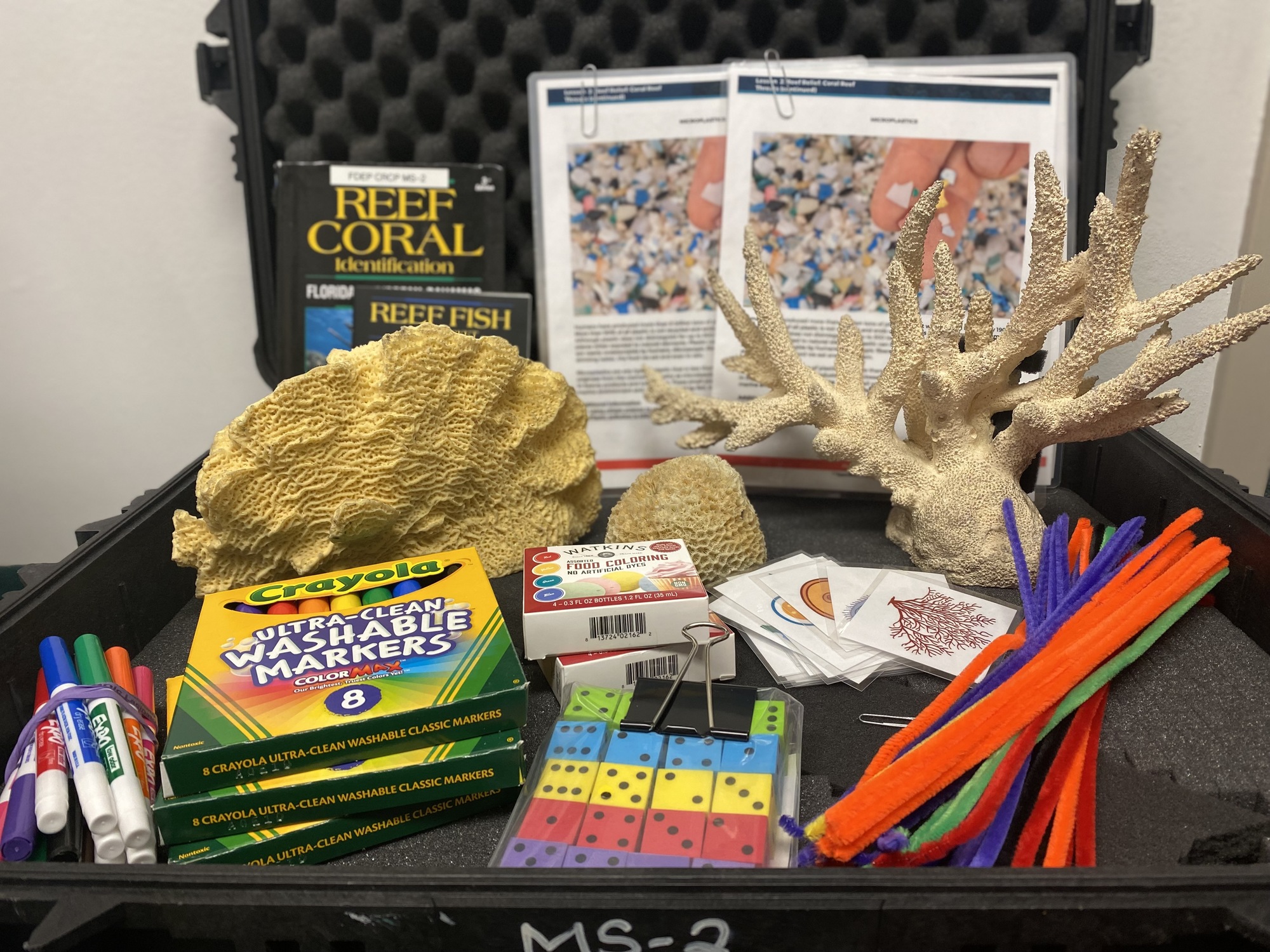 Contents of a Coral Reef Traveling Trunk